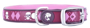 Dublin Dog Collars Pirate Punch