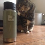 cats licking, cats and gear, klean kanteen vacuum insulated