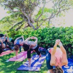 Wanderlust Yoga Festival O'ahu 2014