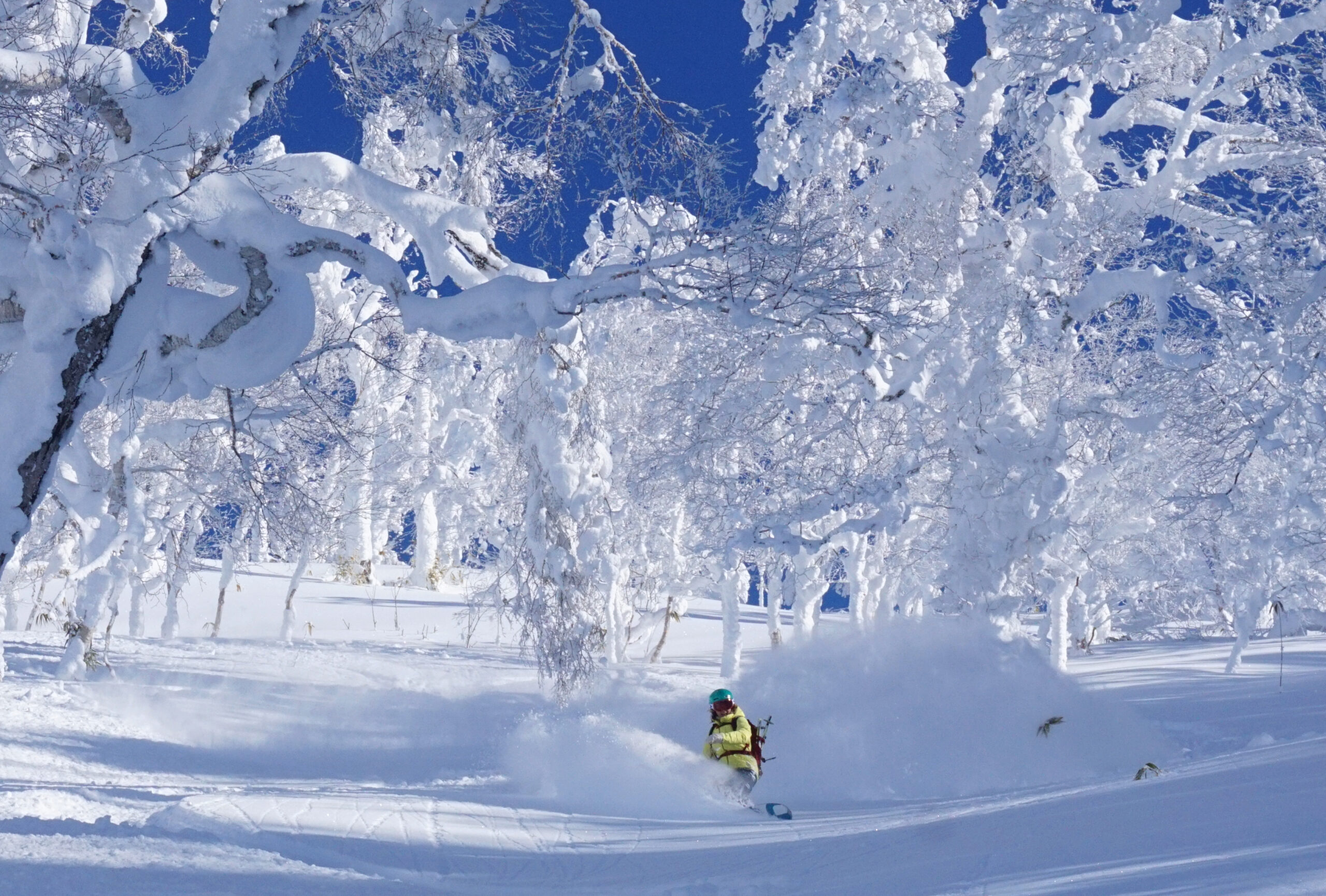 Trip Report: Snowy Adventures in Japan