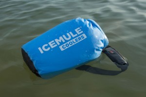 IceMule3X-1024x682