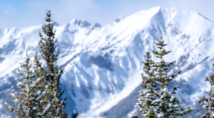 New To Backcountry? Here’s What You Need to Know woman ski touring, women backcountry ski touring