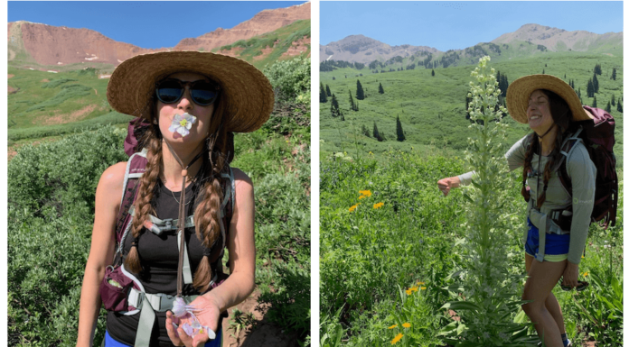 Osprey Sirrus 36 Review osprey sirrus 36 review