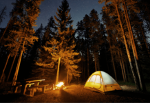 The Best Women’s Camping Equipment of 2023 – You Won’t Believe #7! tent camping under stars in pine forest