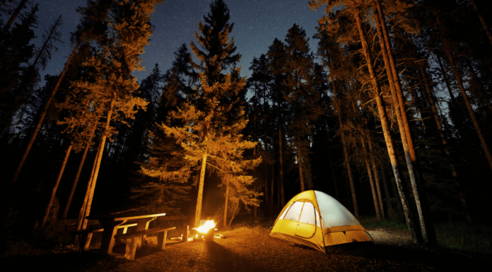 The Best Women’s Camping Equipment of 2023 – You Won’t Believe #7! tent camping under stars in pine forest