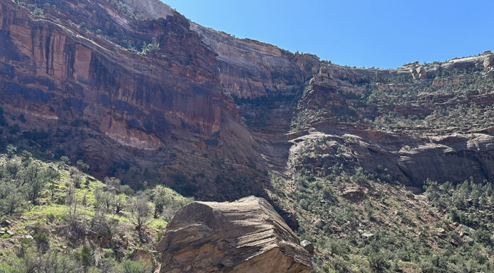 Why the Packraft is the Ultimate Adventure Water Craft